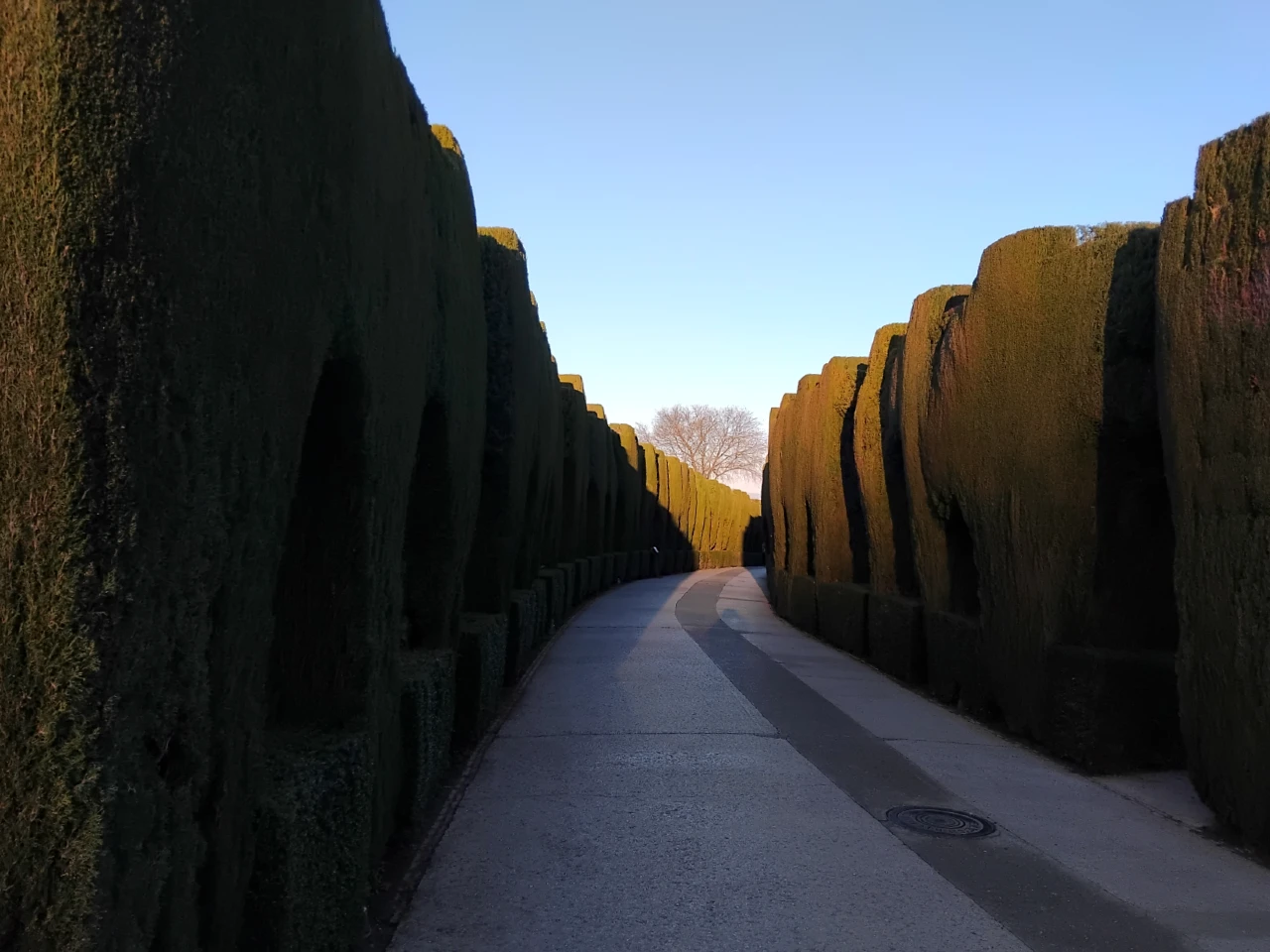 alham004 – Kopi – Kopi